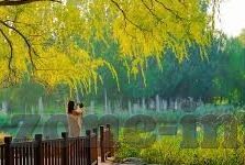 克劳奇南非世界杯进球-克劳奇南非世界杯进球，足球史上的经典瞬间