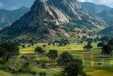 世界杯纪念金币 有价值-世界杯纪念金币，收藏价值与纪念意义的完美结合